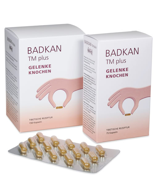Bindegewebe / Knochen